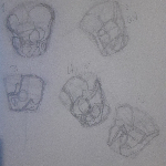 A preview of traditional sketches depicting the pelvis from various angles